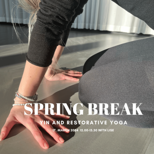 Yin yoga og restorativ yoga workshop